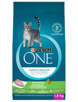 Purina One Cat