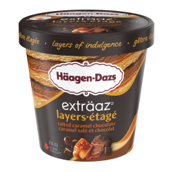 EXTRÄAZ LAYERS SALTED CARAMEL CHOCOLATE ICE CREAM