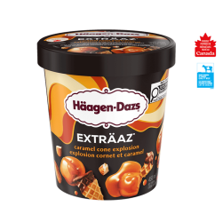 LAYERS caramel salt explosion ice cream