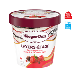 EXTRÄAZ Layers Berry Explosion Ice Cream