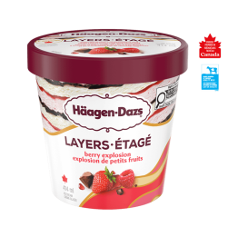 EXTRÄAZ Layers Berry Explosion Ice Cream