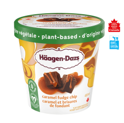 PLANT-BASED CARAMEL FUDGE CHIP FROZEN DESSERT_EN_lid
