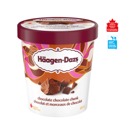 HAAGEN-DAZS Choc Choc Chunk 450ml