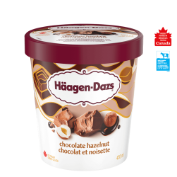 HAAGEN-DAZS Choc Hazelnut 450ml