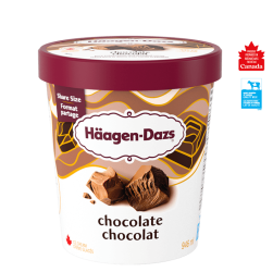 HAAGEN DAZS chocolate tub