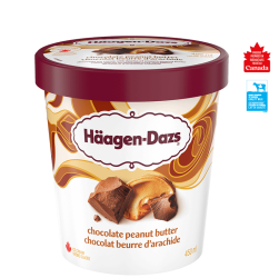 HDZ Choc Peanut Butter 450ml