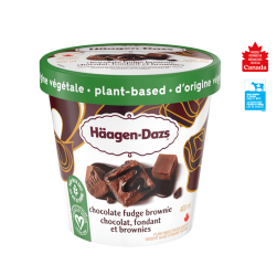 HAAGEN DAZS plant-based chocolate fudge brownies tub