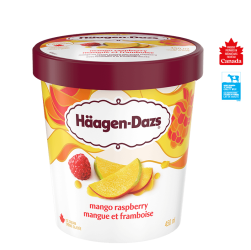 Haagen-Dazs Mango Raspberry 450ml