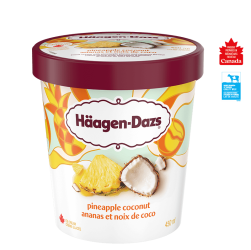 HAAGEN-DAZS Pineapple Ccnt 450ml