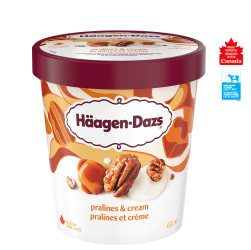 HAAGEN-DAZS Pralines & Cream 450ml