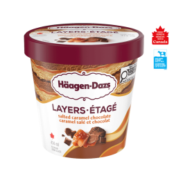 EXTRÄAZ LAYERS SALTED CARAMEL CHOCOLATE ICE CREAM
