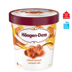 HAAGEN-DAZS Salted Caramel 450ml