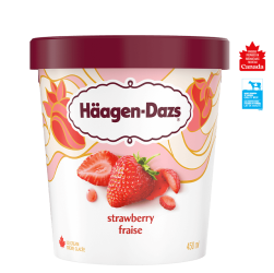 Haagen-Dazs Strawberry 450ml