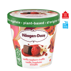 Plant-based Vanilla Raspberry Truffle Frozen Dessert