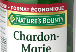 Chardon-Marie 