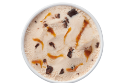 Plant-based Caramel Fudge Chip Frozen Dessert